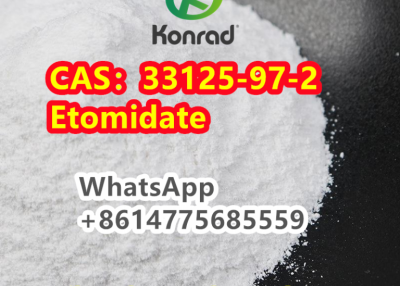 CAS：33125-97-2Etomidate