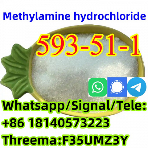 CAS 593-51-1 Methylamine hydrochloride LT-S9151 good price with high qualtiy