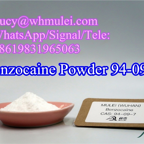 Benzocaine Powder CAS 94-09-7 Local anesthetics China Benzocainum Supplement