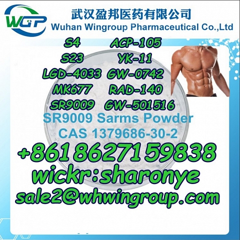 +8618627159838 Sarms Powder Steriod Powder Bodybuilding Muscle Growth with Good Price