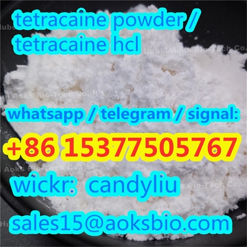 tetracaine hcl powder CAS 136-47-0 popular in Europe and USA