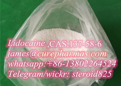 Lidocaine Anti-pain Pharmaceutical Material Xylocaine CAS 137-58-6 Lidocaine Hcl Local Anesthetic 