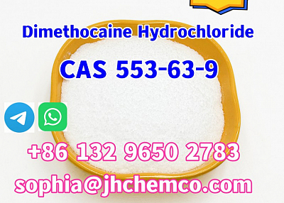 CAS 553-63-9 Dimethocaine Hydrochloride Factory supply high qulity