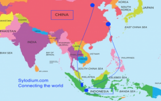 China – Asean (Sylodium, import export business)