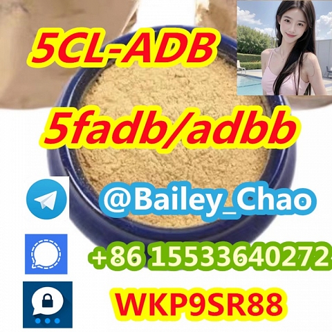 5CLADB precursor 5cl-adb-a 5cl-adb raw materials cas 137350-66-4 5cladba