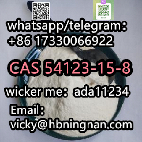 CAS 54123-15-8  Fluclotizolam