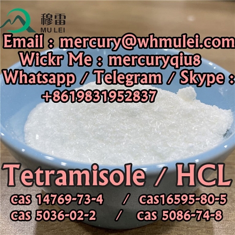 Safe delivery low price tetramisole base tetramisole 