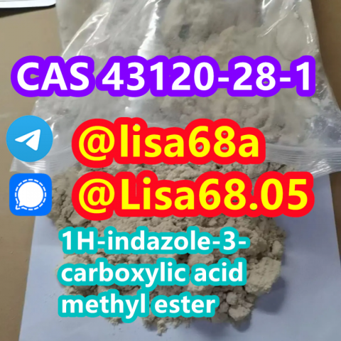 CAS 43120-28-1 1H-indazole-3-carboxylic acid methyl ester C9H8N2O2