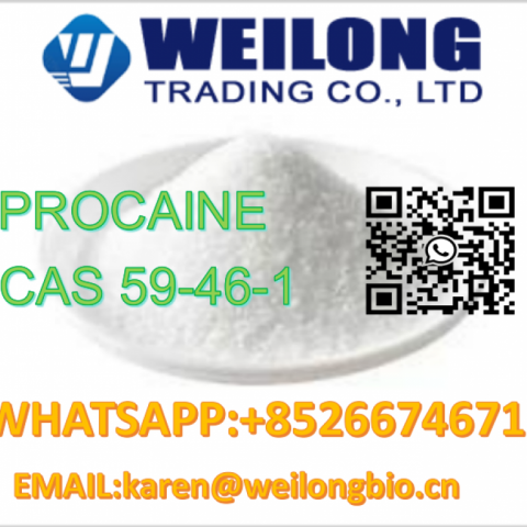 CAS 59-46-1 PROCAINE