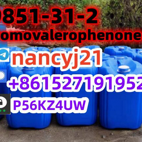 49851-31-2 2Bromovalerophenone 2-BROMO-1-PHENYL-PENTAN-1-ONE 1451-82-7 123-75-1 factory direct suppl