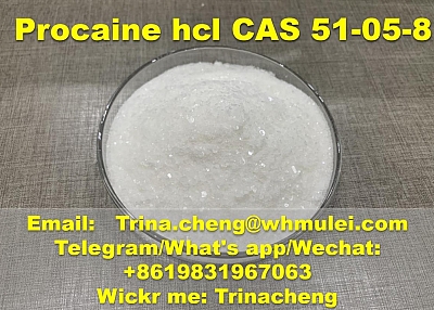 Safety delivery Procaine hydrochloride procaine hcl powder from China supplier 51-05-8