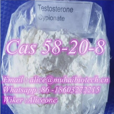 4-Amino-3,5-dichloro-alpha-bromoacetophenone CAS 37148-47-3