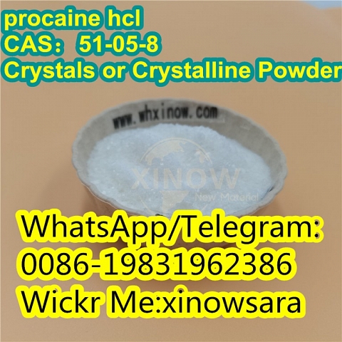 Pharma Procaine Hydrochloride White Powder Cas 51-05-8 Local