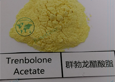 Trenbolone Acetate (Finaplix H/Revalor-H) 