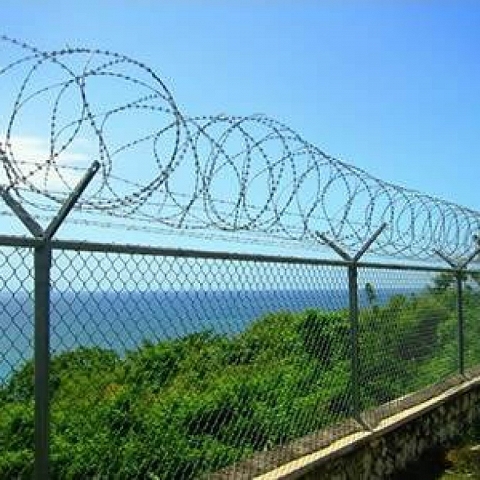 Chain Link Razor Wire Fence