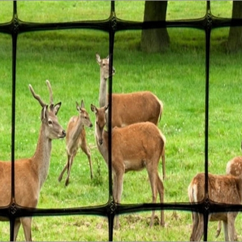 Plastic Mesh Deer Fence