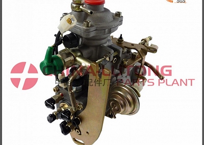 ADS-VE4/12F1900L005 fuel feed pump in diesel engine