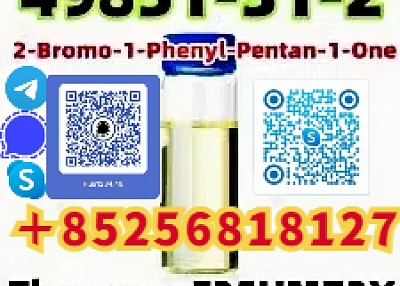 Top Quality cas 49851–31–2 2-Bromo-1-Phenyl-Pentan-1-One EU warehouse