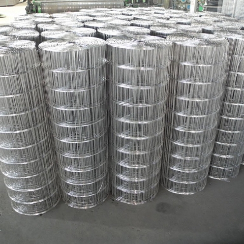 Stainless Steel Welded Mesh