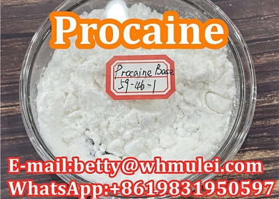 Cas:59-46-1 factory procaine,procaine powder favorable price safe delivery