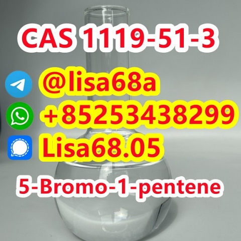 CAS 1119-51-3 5-Bromo-1-pentene C5H9Br