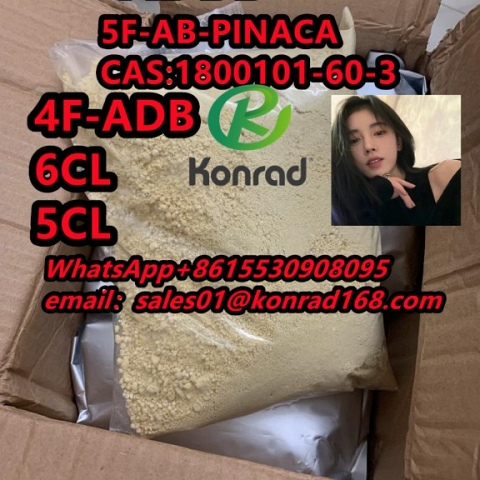  5F-AB-PINACA CAS:1800101-60-3