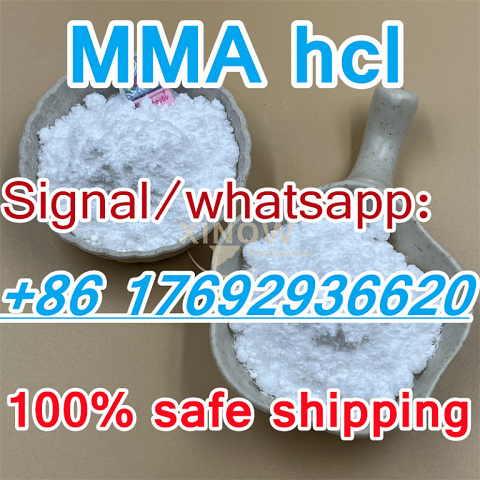 Methylamine hydrochloride MMA hcl,Methylamine hcl,593-51-1 Suppliers