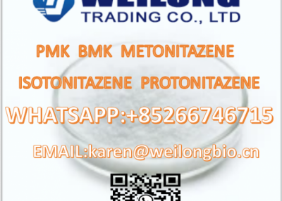 PMK BMK METONITAZENE ISOTONITAZENE PROTONITAZENE BROMAZOLAM ALPRAZOLAM ETIZOLAM