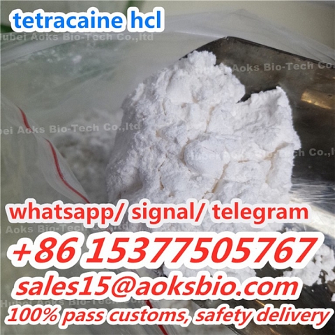 Tetracaine Hydrochloride Tetracaine HCl Powder tetracaine powder