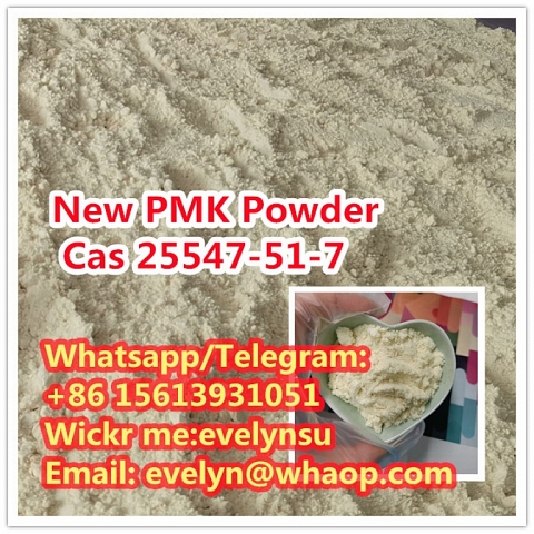 Manufacturer Supply CAS 25547-51-7 PMK Powder Whatspp:+8615613931051