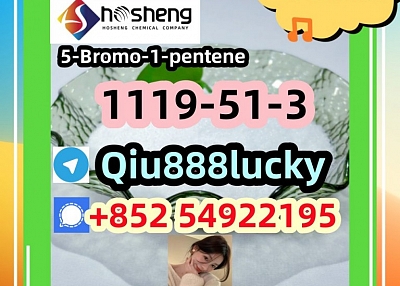 1119-51-3 5-Bromo-1-pentene 