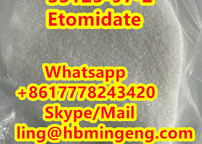 CAS 33125-97-2 High Quality Etomidate With Discount