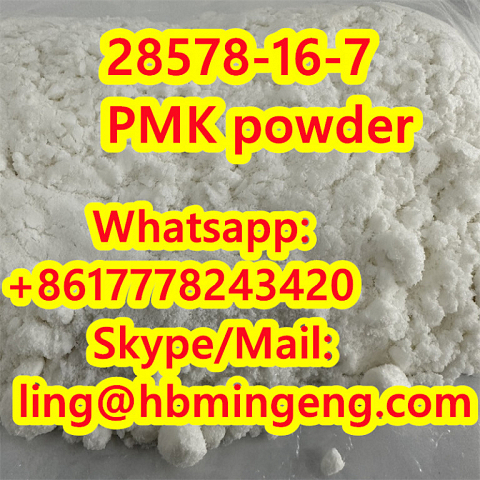 CAS 28578-16-7 PMK ethyl glycidate Pmk Powder PMK Oil PMK Powder