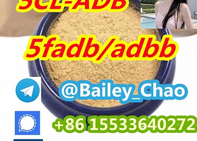 5CLADB precursor 5cl-adb-a 5cl-adb raw materials cas 137350-66-4 5cladba