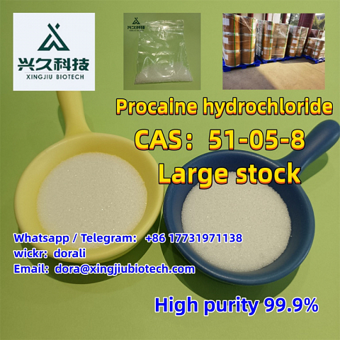 Hot Selling Procaine Hydrochloride / Procaine HCl 51-05-8