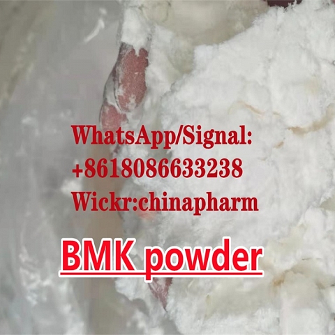 BMK powder CAS 5413-05-8 Ethyl 2-phenylacetoacetate China Supplier