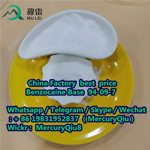 China supplier free sample High Purity 99% Benzocaine CAS No. 94-09-7 Manufacturer Sotocks Supply