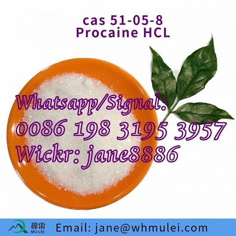  china factory High Purity 99% High Quality Procaine Hydrochloride Procaine HCl CAS 59-46-1