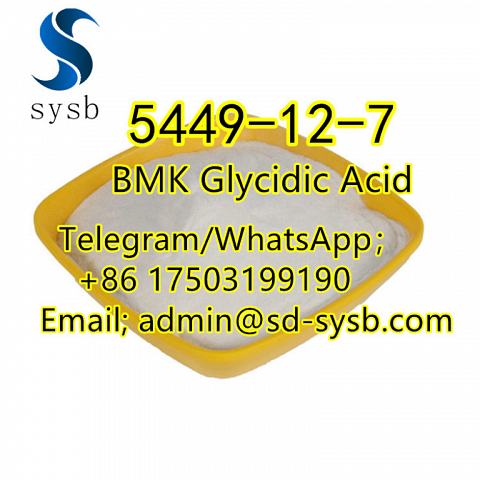  66 A  5449-12-7 BMK Glycidic Acid