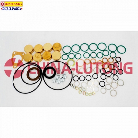 Diesel Pump Repair kits 2 417 010 022 Gasket kit And Rebuild Kit 800717 Overhaul Kit