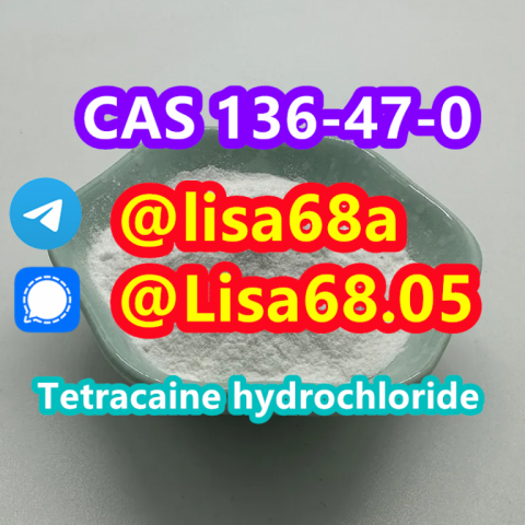 CAS 136-47-0 Tetracaine hydrochloride C15H25ClN2O2