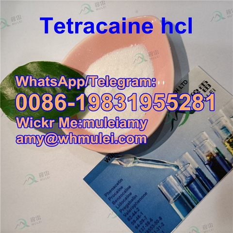 Tetracaine hydrochloride 136-47-0