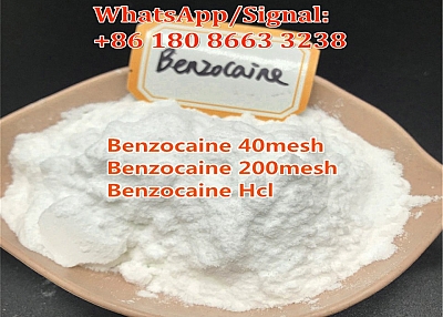 China supply Benzocaine CAS 94-09-7