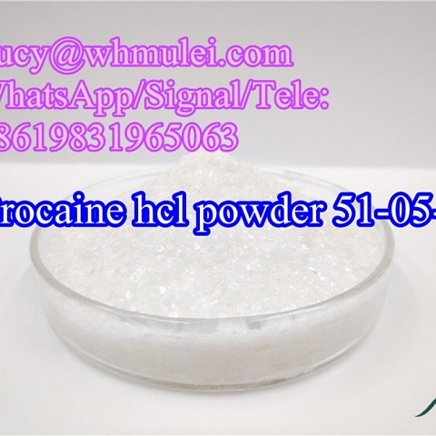 Procaine hcl Powder CAS 51-05-8 Local Anesthetics Drug High Quality Procaine hcl Manufacturer