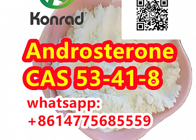  Androsterone:CAS 53-41-8