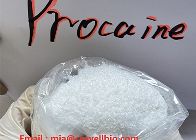 procaine supplier in China ( whatsapp +86 19930503252