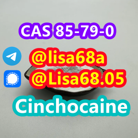 CAS 85-79-0 Cinchocaine C20H29N3O2