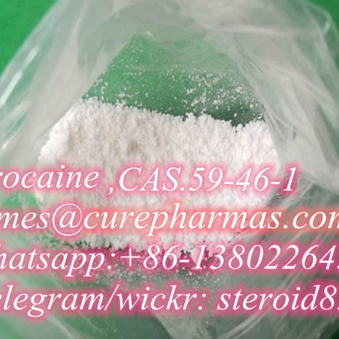 Procaine CAS 59-46-1 Local Anesthetic Procaine Hydrochloride Pain Reliever CAS 51-05-8