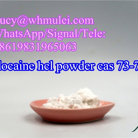 Lidocaine hcl powder cas 73-78-9 for pain relief 100% pass customs to Canada USA Europe