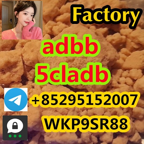 5CL-ADB 5cladb 5cladba synthetic cannabinoids reliable supplier